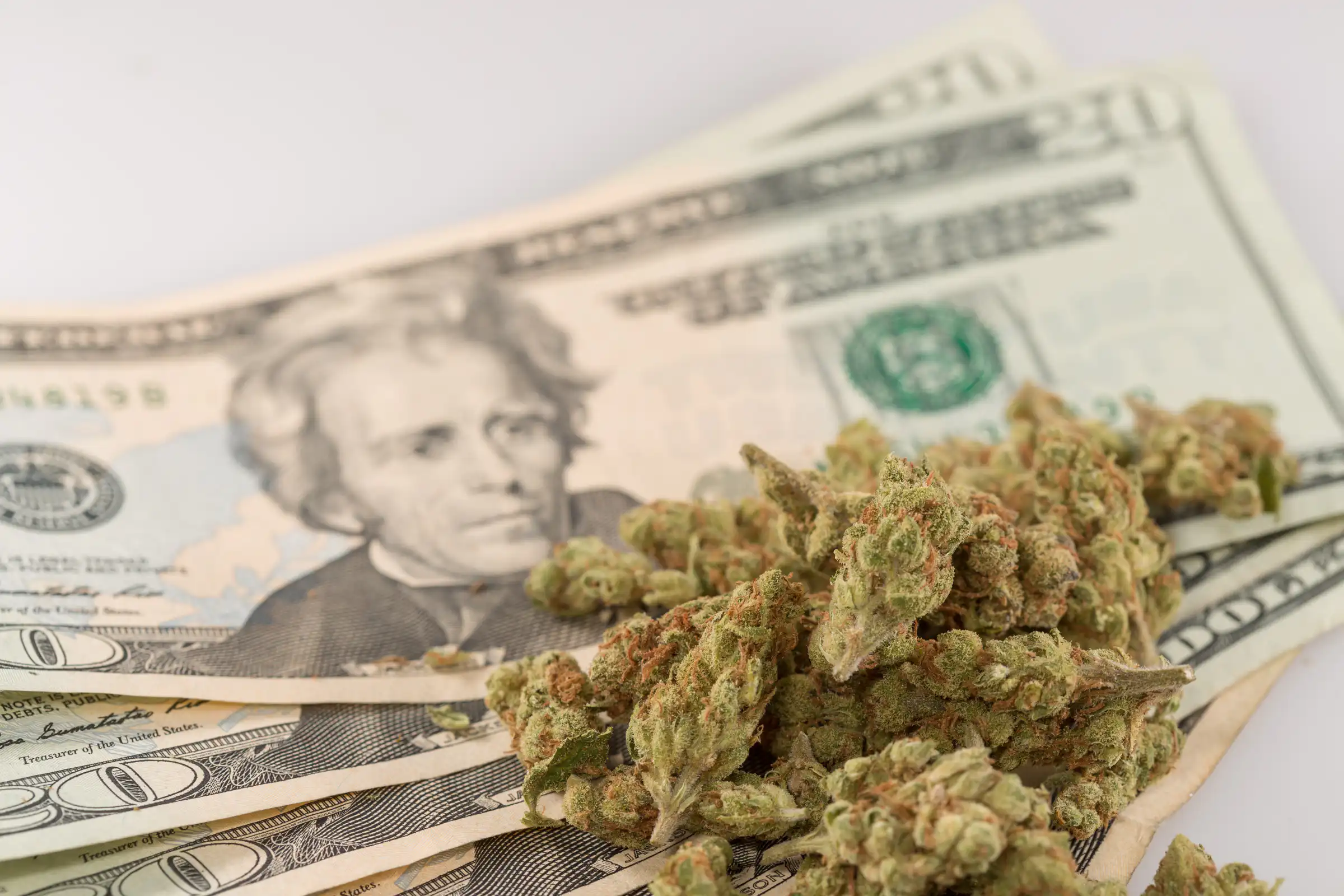 Senator Tim Scott Calls for Federal Marijuana Legalization to Resolve Banking Crisis