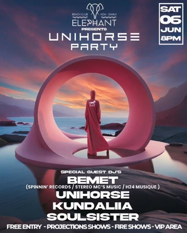 Unihorse Party Lights Up Elephant Beach Club with Live Music and Fire Shows