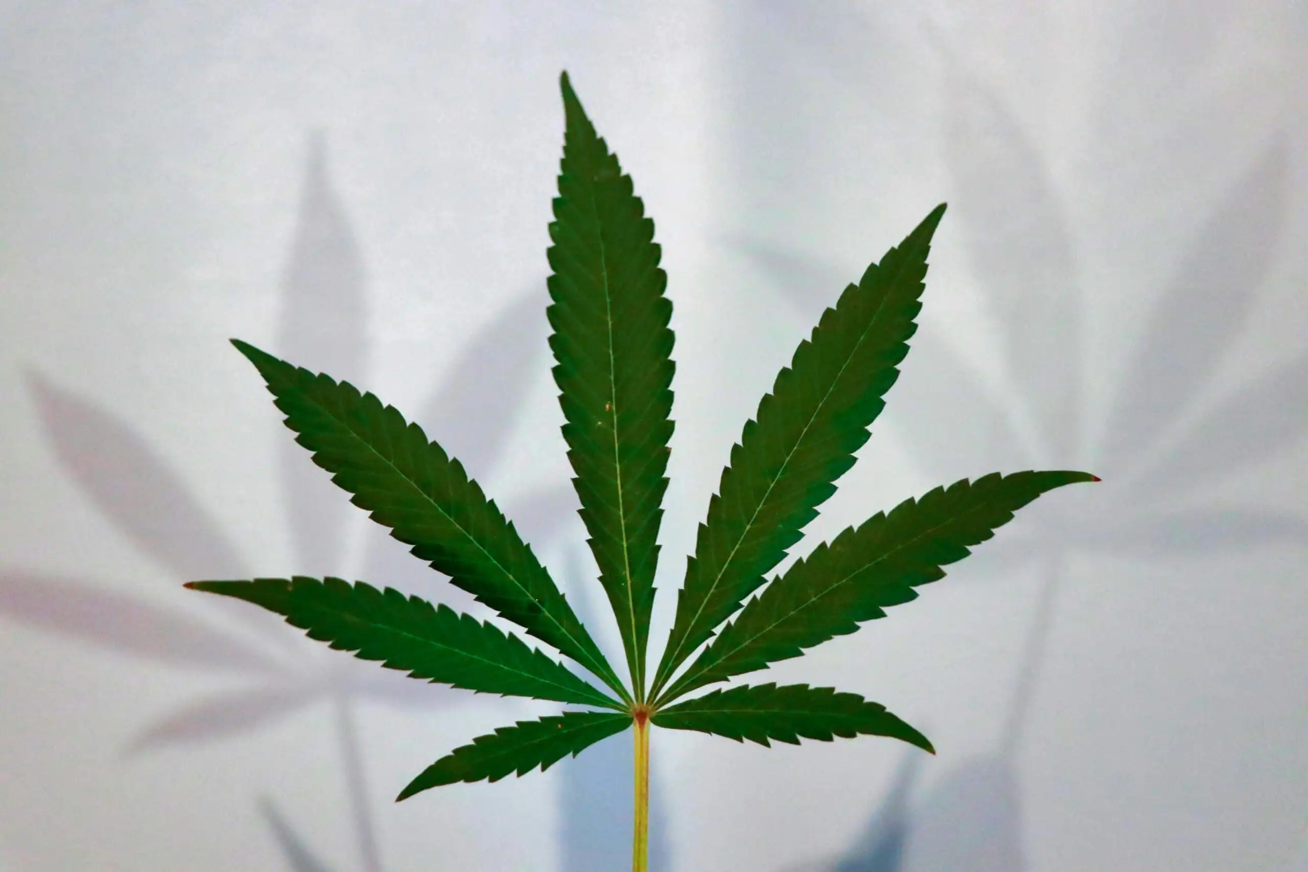 Virginia Leaders Reach Agreement to Legalize Recreational Cannabis Sales in Budget Deal