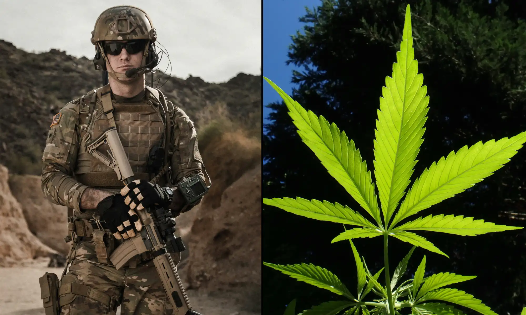 US Military Reaffirms Cannabis Ban Despite Federal Rescheduling