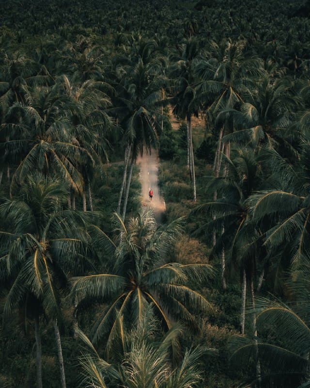 Ko Chang’s Natural Charm Shines with Untouched National Park